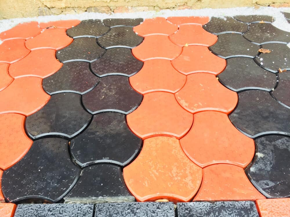 Project-126299842 1030786057347703 4403403974033905320 n